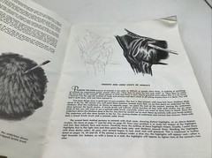 Walter Foster “How To Draw & Paint Textures Of Animals” 1985 Foster Art Book