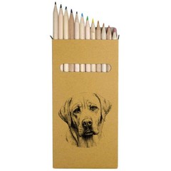 12 x ‘Labrador Retriever Dog Portrait’ Long Colour Pencils (PE00081741)