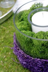 Preserved Reindeer Moss Forest Green 8oz 200 in3 SuperMoss 21757 cubic inch