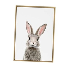 Sylvie Female Baby Bunny Rabbit Animal Print Portrait Framed 33L” x 23W” Gold