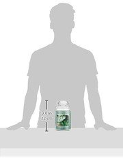 Village Candle Eucalyptus Mint Large Glass Apothecary Jar 21.25 oz., Green