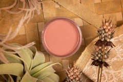 Dixie Belle – Silk Paint Desert Rose 16oz- FREE SHIPPING!