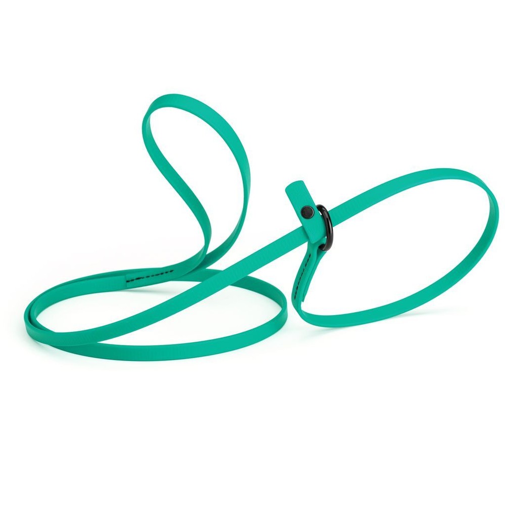Dog Pet Waterproof Slip Lead – W3/8″ x L5′ – Teal