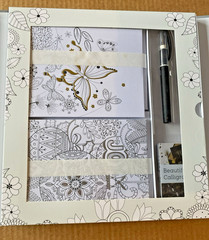 NEW SpiceBox Sketch Mindful Color & Gift Card Making Kit Adult Coloring Craft
