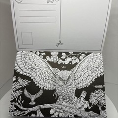 Kerby Rosanes Animorphia Postcards 20 Cards to Colour Art Book Animals