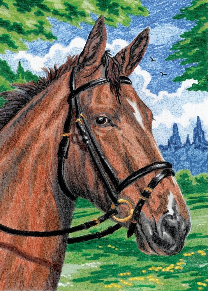 Royal & Langnickel Mini Colour Pencil By Number Kit: 5×7 12 Piece Set, Horse