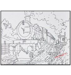ADVANCED QUALITY ARTIST COLOURING BOOKS FOR WATERCOLOUR PAINT PENCILS FELT TIPS