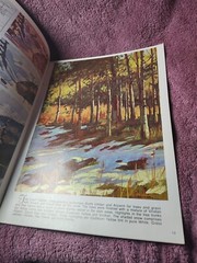 So You Want Snow Scenes To Paint by Mannie Gonsalves Walter Foster #126