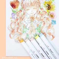 Ohuhu Illustration Marker Pen 80 Colors Brush/FINE Type Honolulu B Series