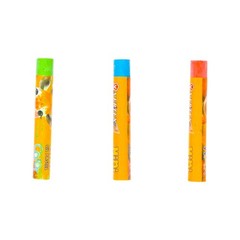 Vertex Mini Oil Pastel 12 Colors Pack – Color Wax Drawing Sticks for Kids & Art