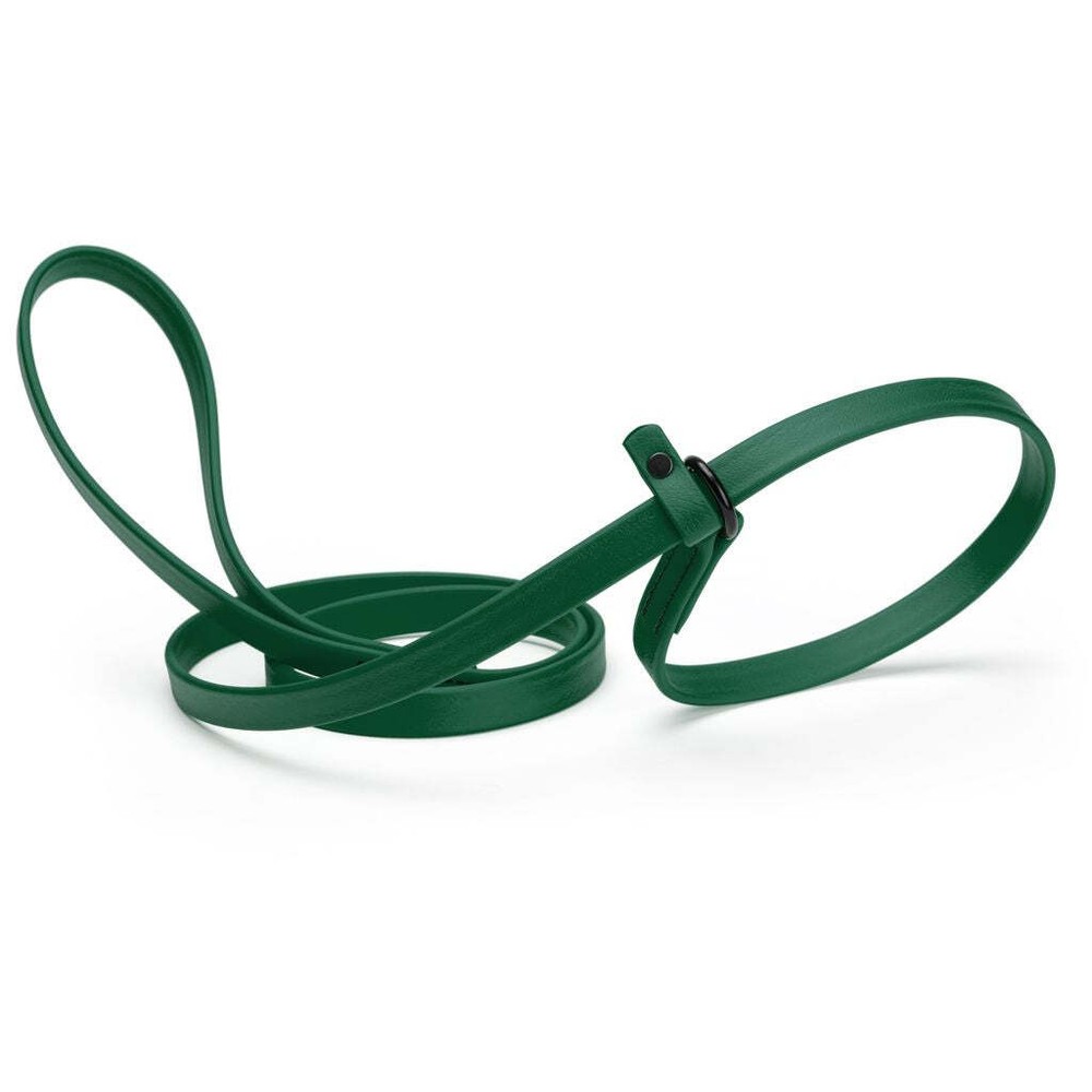 Dog Pet Waterproof Slip Lead – W5/8″ x L7′ – Hunter Green