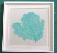26X26-IN FRAMING OF TURQUOISE SEA FAN on Canvas Art by Vision Studio. da