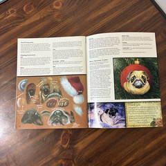 Lot of 4 Painting Instruction Books Traceable Patterns – Country, Birds, Nature