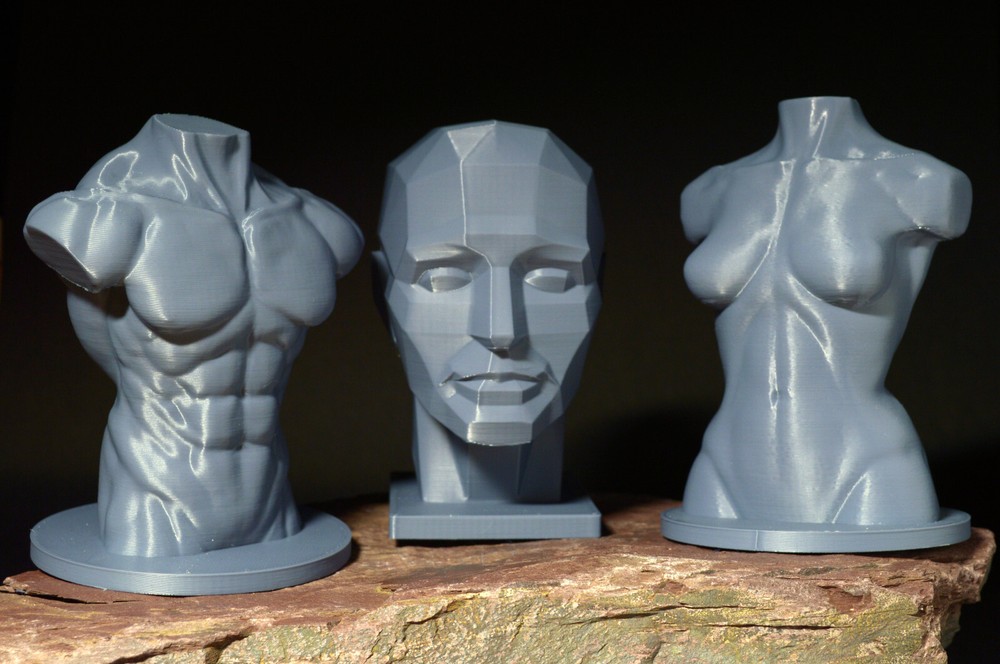 Planar Head, with Male & Female Torso — Art Reference Collection