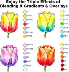 Alcohol Markers Fine Chisel – 101 Colors Dual Tip Coloring Markers for…