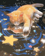 Paint by Numbers Kit for Adults Beginner,Star Cat Paint by Number Kits Canvas W