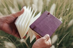 Etchr Watercolor Sketchbook Accordion 4x6in – 100% Cotton 4×6 Inch, Hot Press