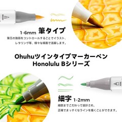 Ohuhu illustration Marker Pen 320 Colors Brush Type w/ Blender Pen Carrying Case
