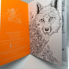 Kerby Rosanes Animorphia Postcards 20 Cards to Colour Art Book Animals