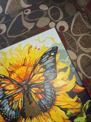 Completed Paint by Numbers Canvas Butterfly Square 10×10 Framed Canvas