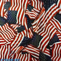 HD-FLG1117 Metallic American Flag (100 cm)