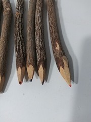 Natural Wood Twig Rustic Thick Handmade Colored Pencils 7″ Long..9x