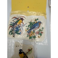 1981 Gold Star and Color Brite Water Mount Decals