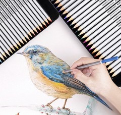 29 PCS Professional Drawing Artist Kit Set Pencils and Sketch Charcoal Art Tools