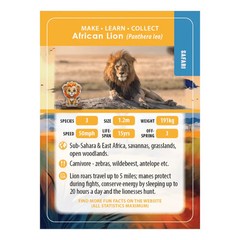 CraftBuddyUS Lion Crystal Art Wildlife Buddies