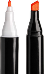 Permanent Markers with Dual Tip by Brilliant Bee, 60 Count