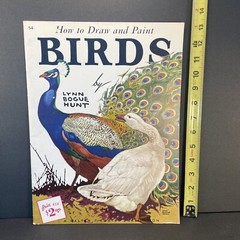 Vtg How to Draw and Paint Birds Softcover Book Walter Foster Art Manual 1960s