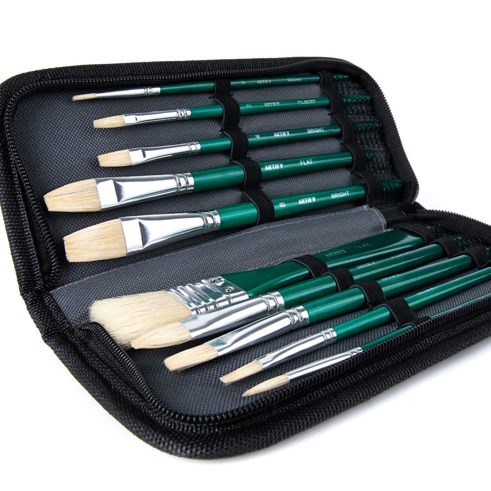 ARTIFY 10 PCS Paint Brush Set Intermediate Series Premium Hog Bristle Case