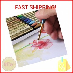 HA SHI Water-Soluble Oil Pastels for Artists 24 Colors, Soft Watercolor Art Stic