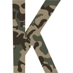 Krylon K04291000 Camouflage Spray 11 Fl Oz (Pack of 1), Khaki