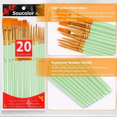 Acrylic Paint Brushes Set, 20Pcs Round Pointed Tip Artist Paintbrushes for Ac…