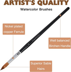 Watercolor Brushes Set 8Pcs Sable Paint Brush Variety Shapes Flat Round Pointed