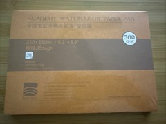 BAOHONG Academy Grade Watercolor Paper, 100%Cotton Rough, 20 Sheets 8.3*5.9
