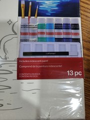 Craft Smart Canvas Painting Kit Acrylic Paint Set 13pc Brushes Multicolor