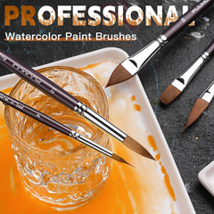 Sable Watercolor Brushes, Professional 10Pcs Sable Paint Brush Set Variety Shape