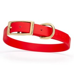 Dog Pet Collar with Brass Hardware Size M W 3/4” L 15” – 18” Cherry Red