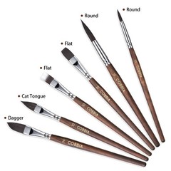 Watercolor Brushes Professional Set Variety Shapes Flat Round Pointed Gouache