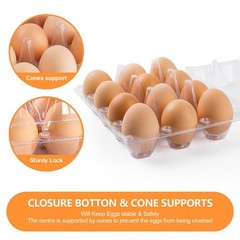 80 Pack Egg Cartons Cheap Bulk 12 Count, Clear Plastic Egg Cartons for Chicke…