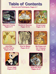 Fur & Feathers Vol 2 Colored Pencil Book Lydia Steeves Animals Wildlife