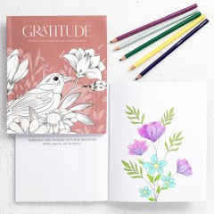 Adult Coloring Books 2 Pack Mindfulness Gratitude Inspirational Quotes Relaxatio