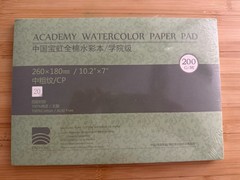 BAOHONG Academy Grade Watercolor Paper 100% Cotton Cold Press 20 Sheets, 10.2*7