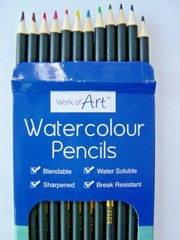 12 Watercolour Pencils Artist Drawing Painting Sketching Art Water Colour pencil