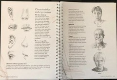 SIMPLY DRAWING BOOK and DVD By Jacqui Grantford (2010, Hinkler Books Pty Ltd)