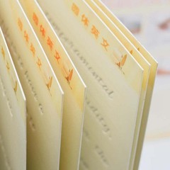 English Calligraphy Handwriting Practice Copybook Board Groove Training Work