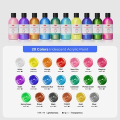20 Colors Iridescent Acrylic Paint 8.45oz/250ml Large Bulk Metallic Acrylic P…