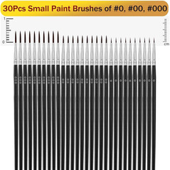 Anezus Tiny Detail Paint Brushes 30 Pcs Fine Set Small, Black